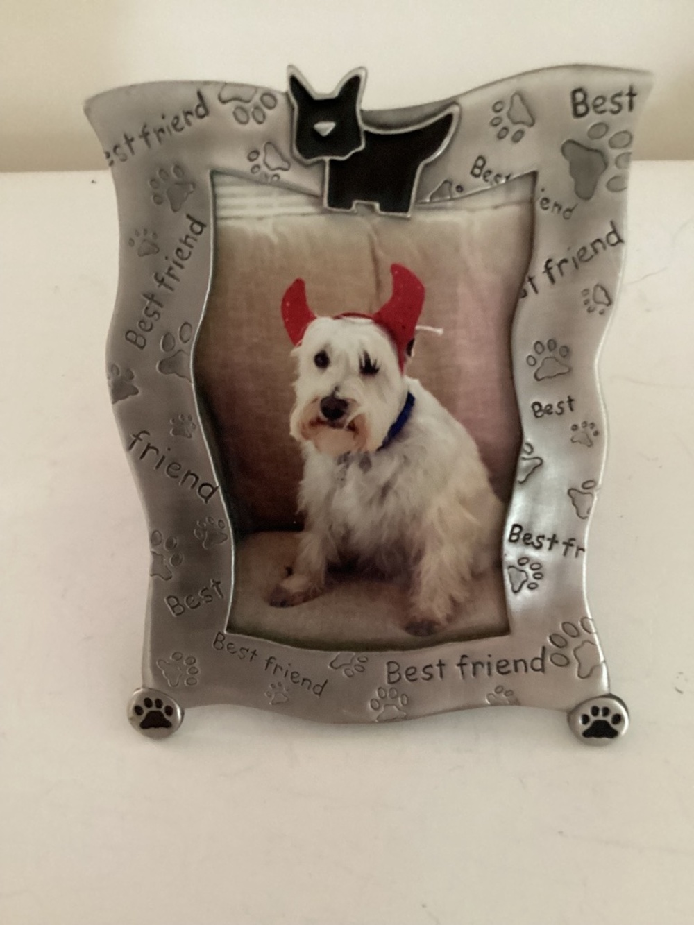Pewter look Metal “Best Friend” Pet Photo Frame w/ terrier trim and 3Dpaw prints